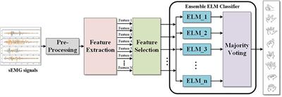 Gesture Recognition by Ensemble Extreme Learning Machine Based on Surface Electromyography Signals